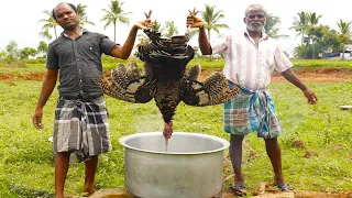1 hour of uncle's best recipes cooked in my village | full goat /full turkey/full Chicken & Rabbit