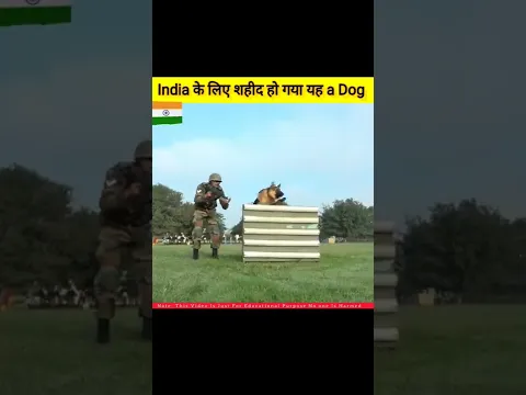 India के लिए शहीद हो गया a dog.??😱🔥#shorts #facts #education #india #indianarmy #yt20
