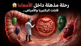 رحلة داخل الأمعاء والقولون | 🦠 البكتيريا والقولون العصبي والتهاب القولون التقرحي 🤯
