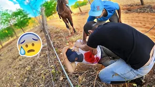 CAVALO DERRUBOU EU😒, TROLEI MEUS AMIGOS