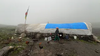 Himalayan Shepherds Life In Dolpa || Most Beautiful And Peaceful Life In Nepal || Full Documentary.
