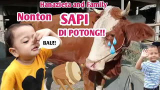 SERUNYA!! Hanazieta dan Syamil nonton Sapi Kurban di potong