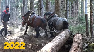 FURMANI U LJUTOJ STRANI - MOBA SOKOLAC !!!