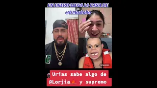 La Casa De Urias Lobo Lo Nuevo En 2026