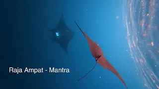Raja Ampat - Маntra  ( 2026 - 4K )