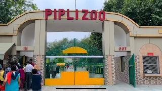 Visit to a Pipli Zoo | Mini Zoo of Kurukshetra