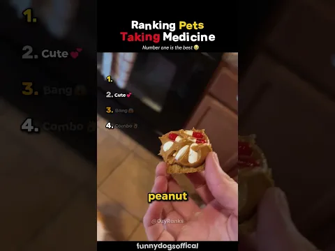 Ranking Pets Taking Medicine💊 #usa