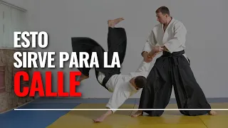 FUNCIONA el AIKIDO en una PELEA REAL - Como defenderse en una pelea callejera