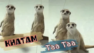 Aaj To Ye Gaya | Funny Animals #FUNBong