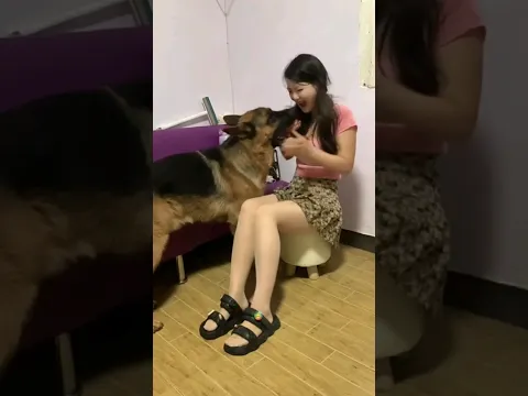 Dog arguing with mom #funny_animal #smartdog #funnyanimals #youtubeshorts #funny