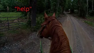 She should've turned back.. Top 10 Scary Videos