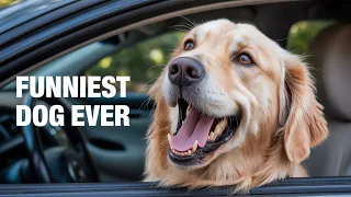 Laugh Out Loud with the TOP 10 Pet Fails of All Time