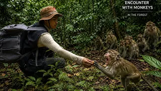 I Was Surrounded by Wild Monkeys in the Jungle! 🐒