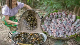 Braised Tasty Frogs and Steam Spicy Snails Recipe | Cooking Frogs & Snails Compilation