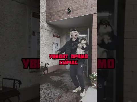МОЮ СОБАКУ УКРАЛИ У МАГАЗИНА😭‼️ inst:sever1off #shorts #sever1off