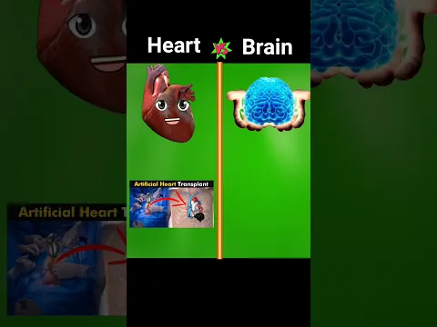 হৃদয় 🆚 মস্তিষ্ক || Heart v/s Brain Comparison || #shorts #facts