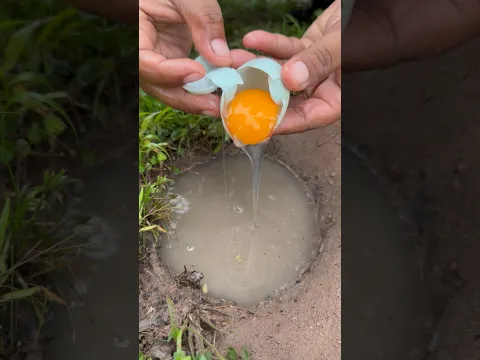 Survival Skills: SMART ideas and Useful in forest #camping #outdoors #survival #crab