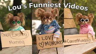 FUNNIEST Cancel Monday Videos 🤣
