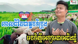 ចាកចេញពីទីក្រុងផ្ដើមក្ដីស្រមៃ ចិញ្ចឹមសត្វតាមជើងភ្នំរស់នៅជាមួយធម្មជាតិ | កម្មវិធីក្ដីស្រមៃខ្ញុំ