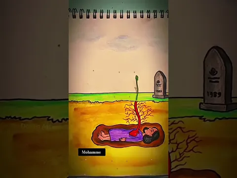تلاوه مؤثره تبكي القلوب 💔