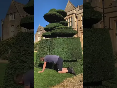 This guy cut the grass (PT2) #shorts #youtubeshorts #shortsfeed #viralvideo #viralshort #factmoment1