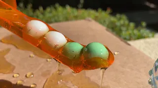 Honey Marbles