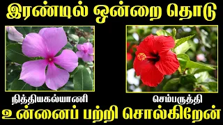 2 Flowers Personality Traits  | உன்னைப் பற்றி சொல்கிறேன் | T Tamil Technology | Astrology Zone