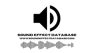Cafe Ambience Sound Effect