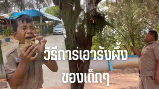 วิธีการเอารังผึ้งของเด็กๆ จอมขมังเวทย์ตัวจริง หาอาชีพเสริมจากการขายรังผึ้งให้ชาวบ้าน
