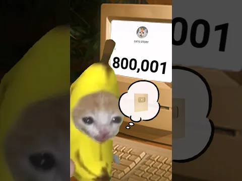 The Story of Banana Cat😹🍌｜800,000 subscribers🥰