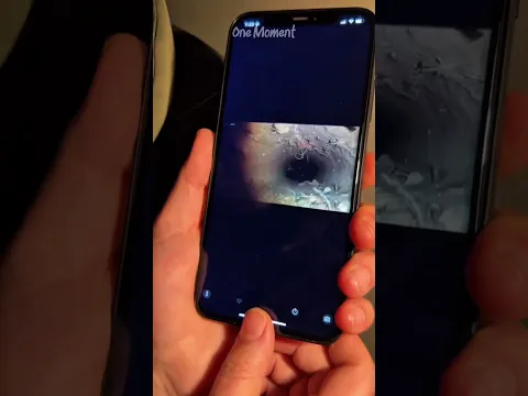 A Tiny Camera on a Cockroach Reveals a Hidden City #shorts #shortvideo