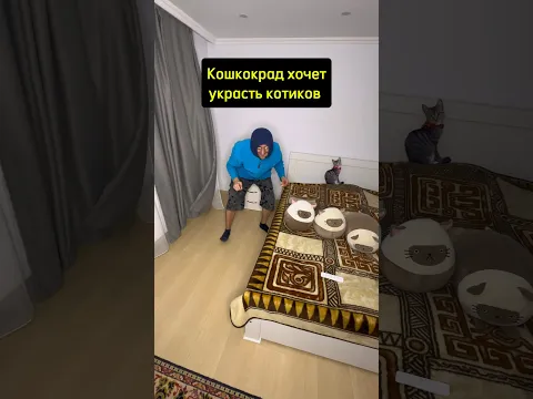 Кошкокрад и дядя #юмор #рекомендации #приколы