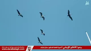 دورة ( كن ايجابيا )  الدورة الكاملة للدكتور : صلاح الراشد