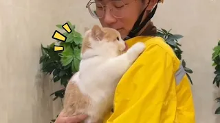 【一只又廷】被外卖小哥收养的小奶猫终于长大了！