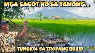 EP821 (Part2of2): MGA SAGOT KO SA MGA TANONG TUNGKOL SA TROPANG BUKID🌾🌱