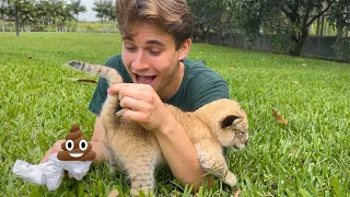 OUR BABY LION FINALLY POOPED !
