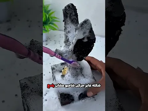 نضفت تمثال الصقر الدهبي لبنتي 😮