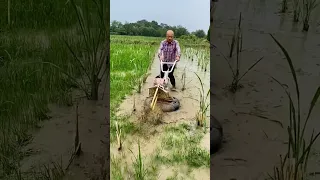 The Beauty Of Agriculture Is All About Creating Activities #satisfying#farming  #agriculture