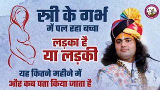 गर्भवती स्त्री के पेट में पल रहा बच्चा लड़का है या लड़की । यह कितने महीने में और कब पता करना चाहिए