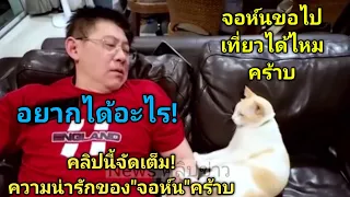 น่ารักเกินไปไหมเนี่ย"จอห์น"นวดให้นะคร้าบ😻#สรยุทธ #แมว #แมวน่ารัก #แมวจอห์น #
