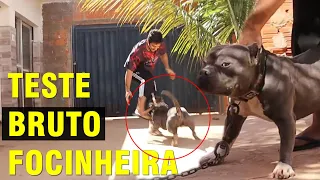 TOURINHO SURTOU PIOR QUE ANTES HOJE NO TESTE DE FOCINHEIRA