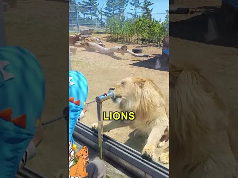 Amazing Zoo Experience For Kids 😍