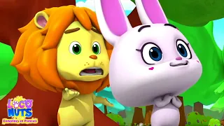Lion et du Lapin l'Histoire + Plus d'Histoires Animées pour les Enfants