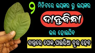 ୨ ମିନିଟରେ ଭୟଙ୍କର ରୁ ଭୟଙ୍କର ଦାନ୍ତବିନ୍ଧା ଭଲ ହେବ, ଦାନ୍ତରେ ପୋକ,ପାଇରିଆ ଦୂର ହେବ | Get Rid of Tooth Cavity