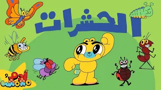 الحشرات للأطفال 🐞🦋 | آدم ومشمش