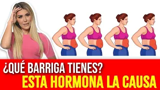 Dime tu tipo de BARRIGA y descubre la HORMONA que debes regular YA para eliminarla