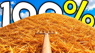 Я прошел Find The Needle на 100%