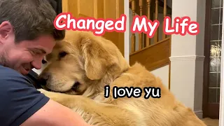 7 Ways Marley Changed My Life
