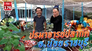 Siamese Fighting Fish ปรมาจารย์ปลากัด อ.น้อย ราชบุรี - เพื่อนรักสัตว์เอ้ย EP.176 1/2