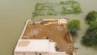 My first vlog river Sutlej update #viral #flood #warning
